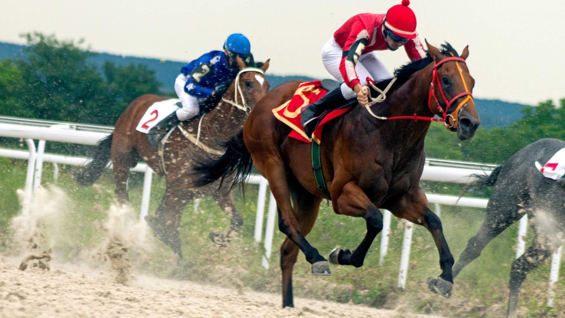 horse_racing