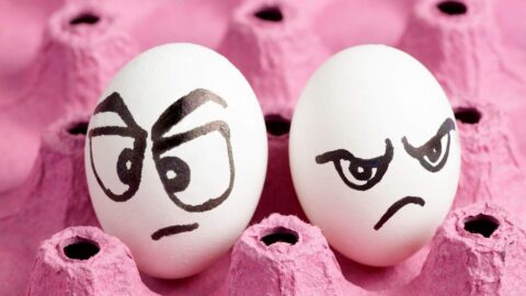 eggs with mad faces demonstrating people today easily offended
