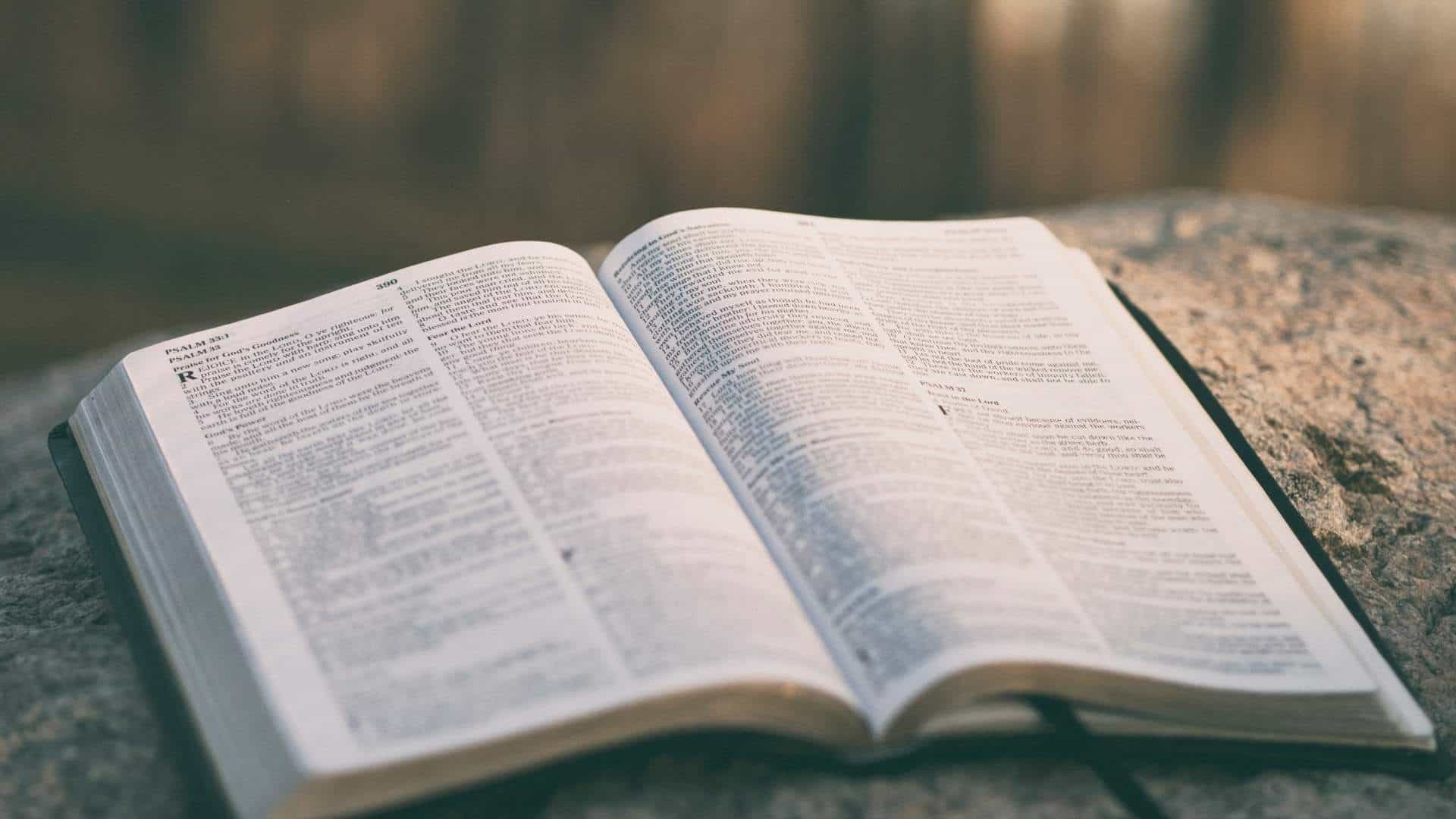 bible on a rock