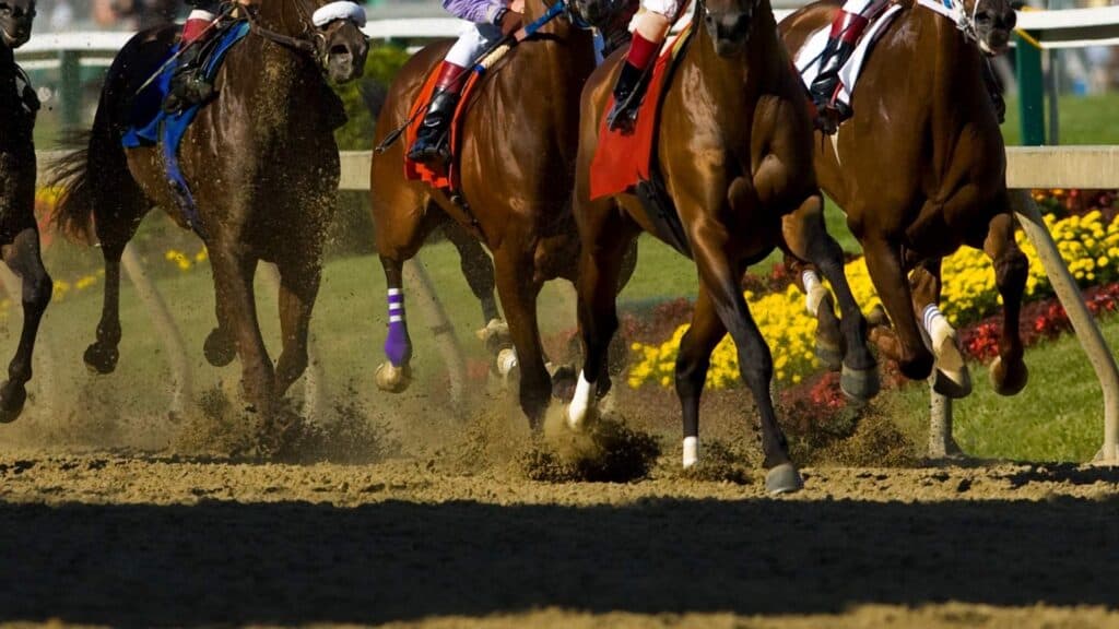 Horse race