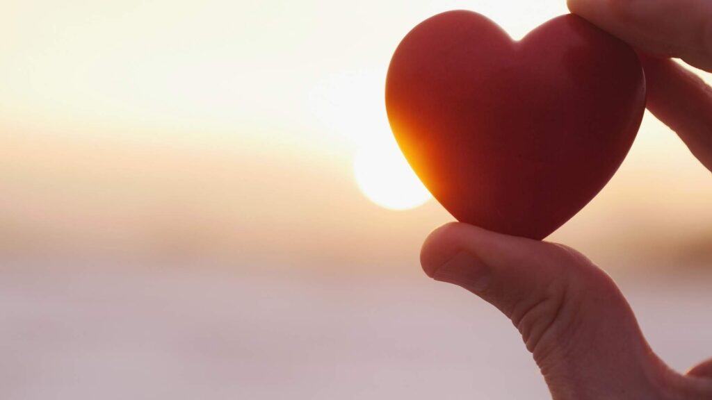 hand holding heart