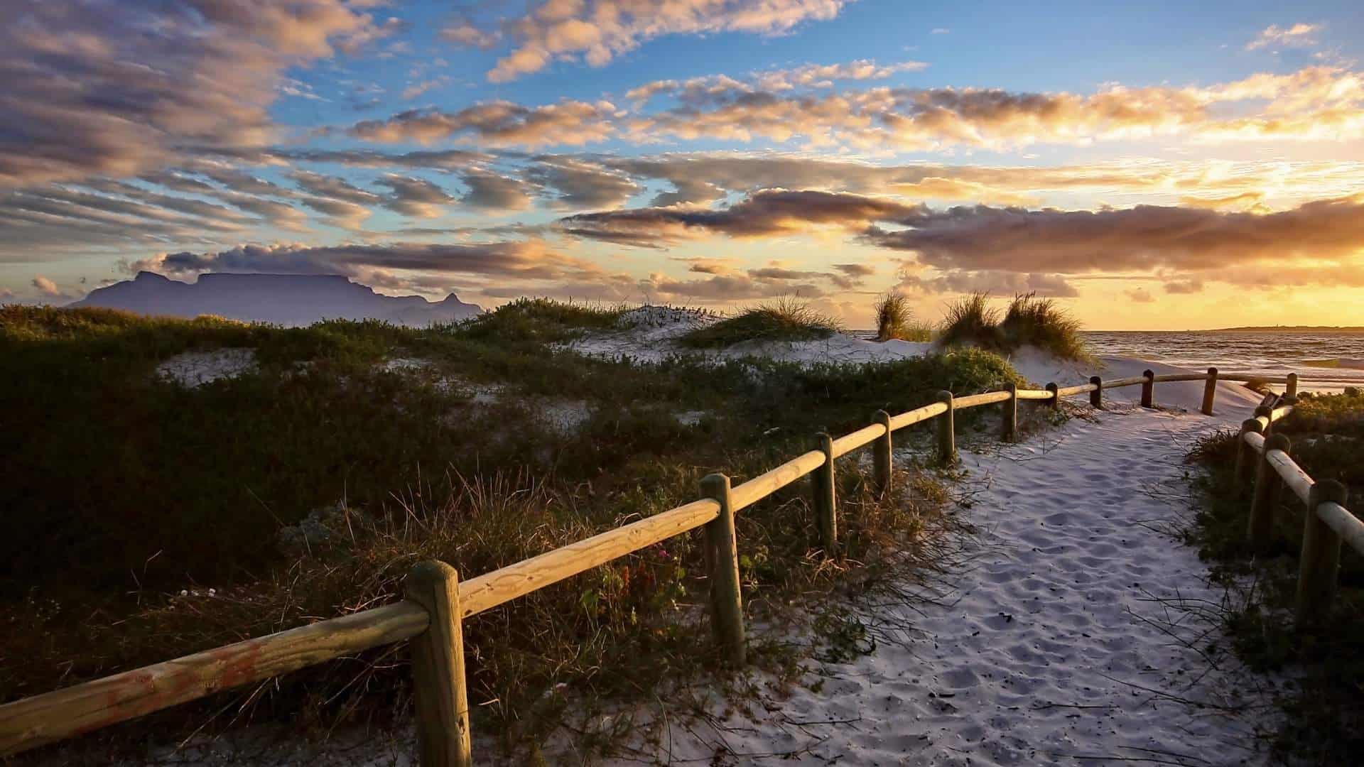 sandy path to ocean representing path to peace