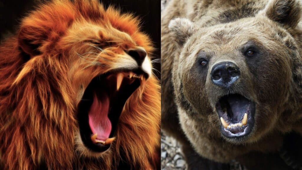 The lion and the bear