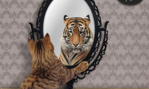 Cat looking in mirror seeing tiger