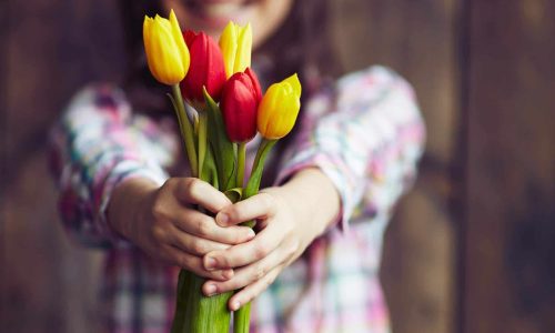 Girl giving tulips demonstrating it is better to give