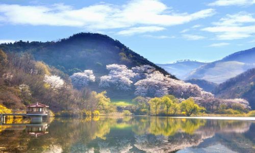 Korea Landscape