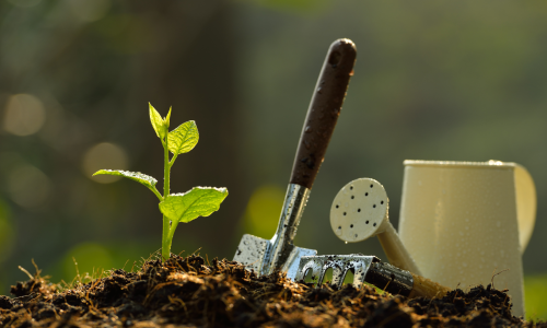 Image of the beginning s of a garden with a plant, shovel and pot.