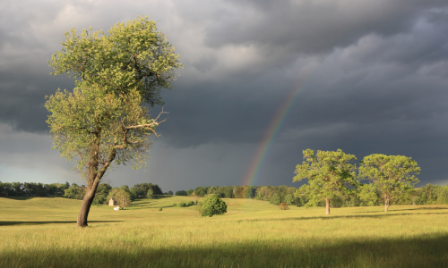 Rainbow and clouds over field