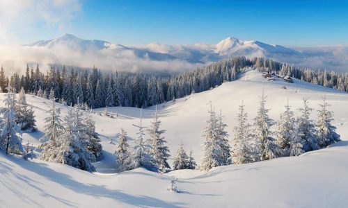 Snow capped mountains and trees