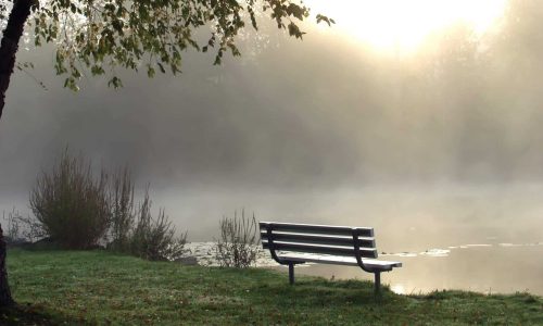 anxiety trust and obey peaceful pond