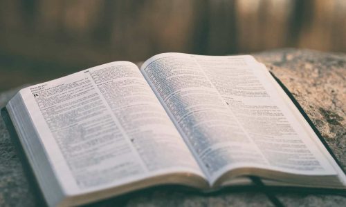 bible on a rock