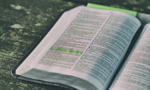 bible open on wood table