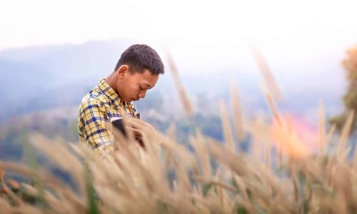 boy praying in field