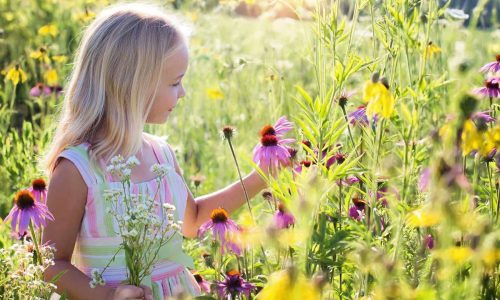 child flower lilly worry