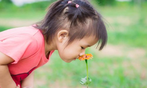 child smelling a flower