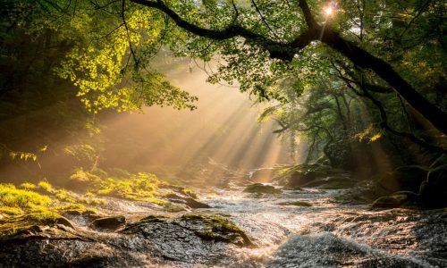 close fellowship with God