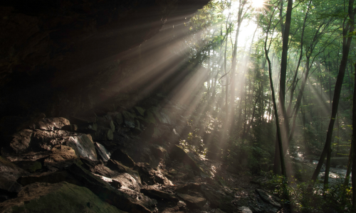darkest hour garden of gethsemane