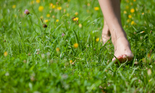 earthing (1)