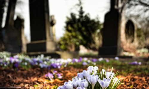 graveyard with flowers