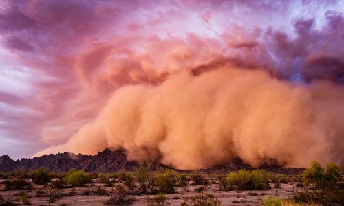 haboob haboobs wind storm