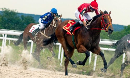 horse_racing