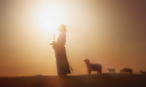 jesus leading sheep