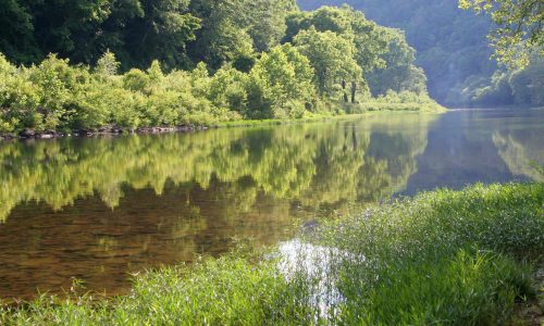 peaceful river