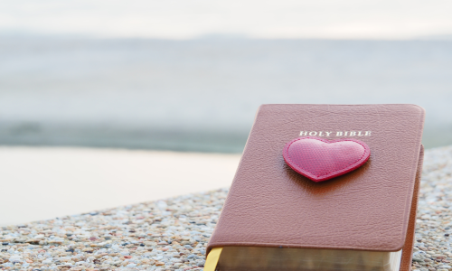 pink bible on the beach