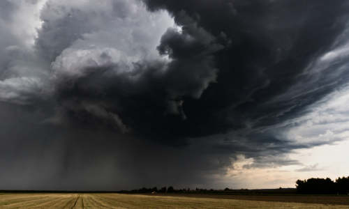 praise in storm