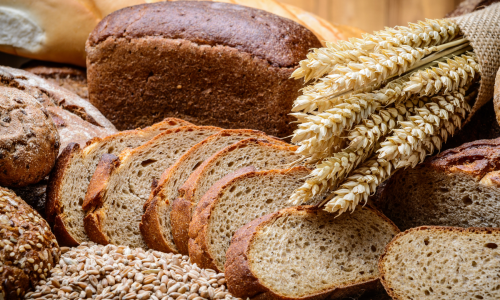 provision daily bread