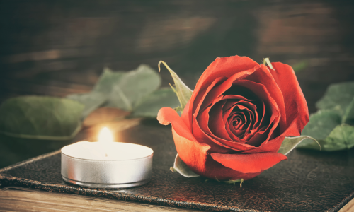 rose memorial