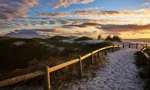 sandy path to ocean representing path to peace