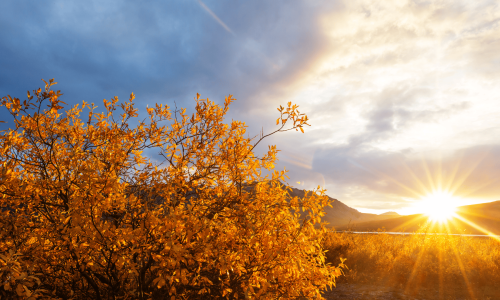 season training seasons