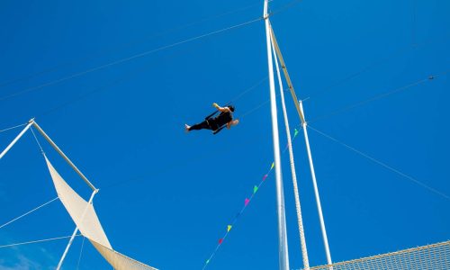 trapeze artist with safety net