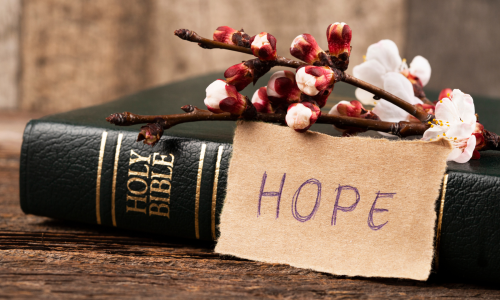 trusting God's plan