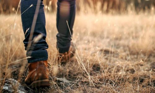 walking through field