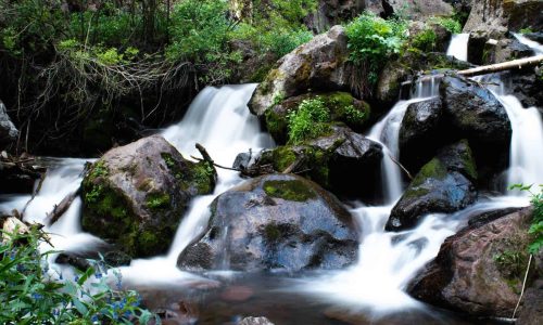 waterfall and bluebells