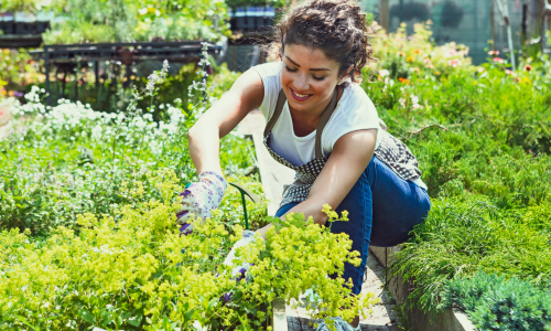 woman in garden