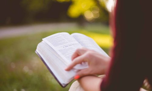 woman reading bible